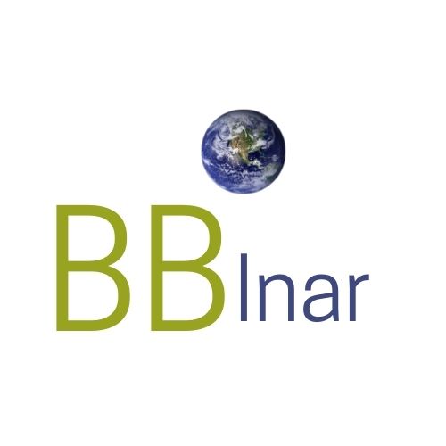 BBinar Logo