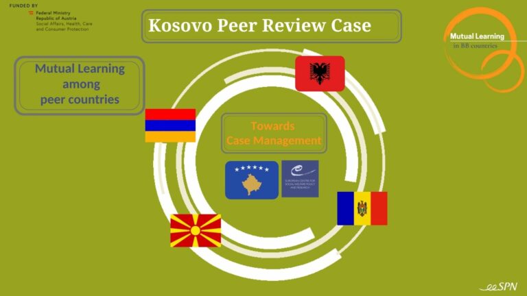 The Peer Review Kosovo Report: The integrated policy approach