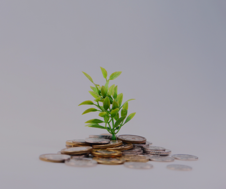 10th BBinar: Pension systems in the Western Balkans and Eastern Partnership countries